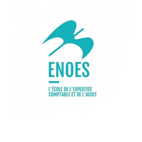 logo ENOES